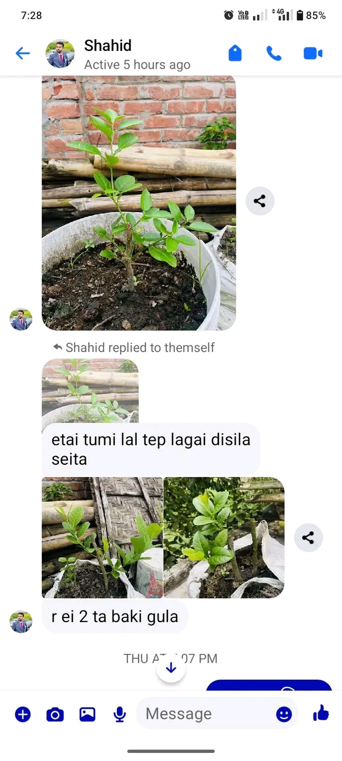 WhatsApp Image 2026-06-19 at 10.32.28 PM